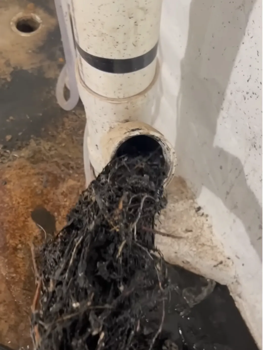 Drain Cleaning