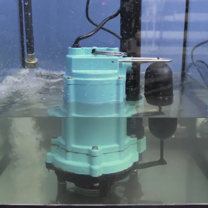 Sump Pump Repair